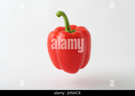 Eine rote Paprika in einem Studio, ausgesetzt über einen weißen, nahtlose Hintergrund fotografiert. Stockfoto