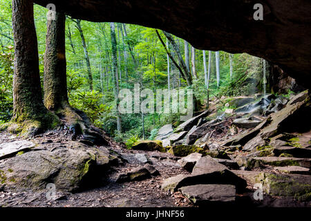 Slick-Steinschlag - Pisgah National Forest - nahe Brevard, North Carolina, USA Stockfoto