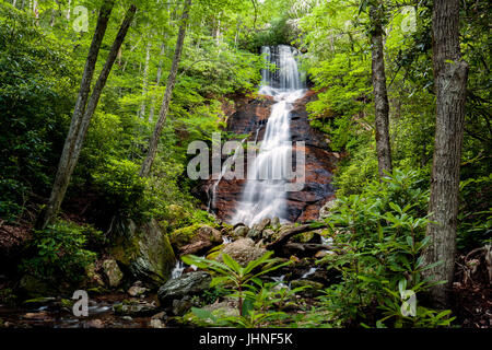 Dill fällt am Tanasee Creek - Nantahala National Forest, Kanada, Nord-Carolina, USA Stockfoto