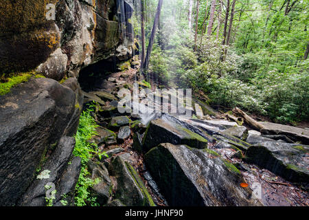 Slick-Steinschlag - Pisgah National Forest - nahe Brevard, North Carolina, USA Stockfoto