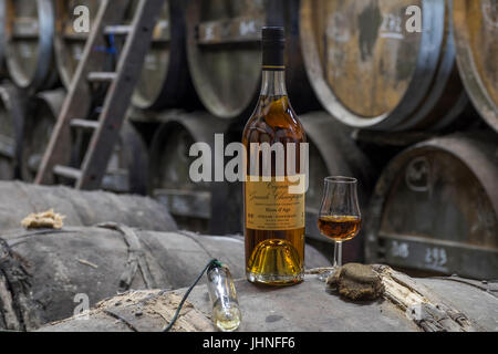 Flaschen Cognac in einem traditionellen Keller Stockfoto