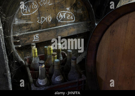 Flaschen Cognac in einem traditionellen Keller Stockfoto