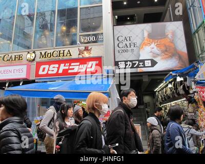 Japanische Katze café Stockfoto