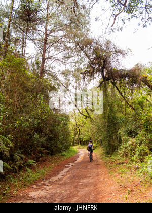 Biker auf einer schmutzigen Straße im Serra da Bocaina Nationalpark, São Paulo Stockfoto