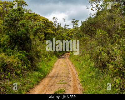 Schmutzige Straße bei Serra da Bocaina, São Paulo Stockfoto