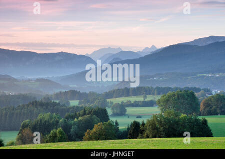 Morgendämmerung am der Voralpen, Chiemgau, Bayern, Blick in Richtung Nationalpark Berchtesgaden mit Watzmann Berg Stockfoto