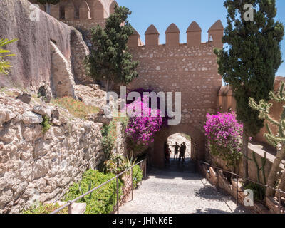 Mittelalterlichen maurischen Festung Alcazaba in Almeria, Zugang zur Festung mit Gärten und Bäumen verschiedener Arten, Almeria, Andalusien, Spanien Stockfoto