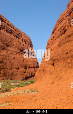 In und um die massiven Kata Tjuta (Olgas) Zentral-Australien Stockfoto