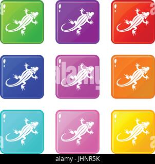 Eidechse Symbole 9 Satz Stock Vektor