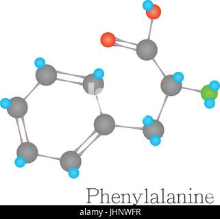 Phenylalanin 3D Molekül chemische Wissenschaft Stock Vektor