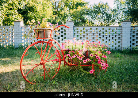Dekorativer Vintage-Modell Fahrrades alten Korb Blumen Garten. Getönten Foto. Stockfoto