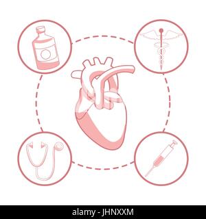 weißen Hintergrund mit roten Farbe Abschnitte Silhouette Herz Orgel mit kreisförmigen Rahmen Elemente Gesundheit Stock Vektor