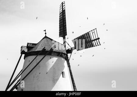 Österreichs letzte voll Functionall Windmühle in den Weinbergen. Stockfoto