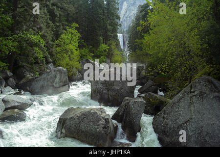 Rauschenden Fluss und Wald mit Vernal Falls im Hintergrund im Yosemite National Park - Fotografie von Paul Toillion Stockfoto