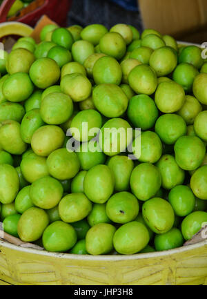 Ziziphus Mauritiana auch bekannt als Jujube ist eine tropische Frucht in Asien. Stockfoto