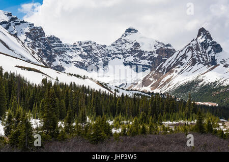 Malerischen Bergblick aus dem Icefields Parkway Jasper Nationalpark Alberta Kanada im Frühling Stockfoto