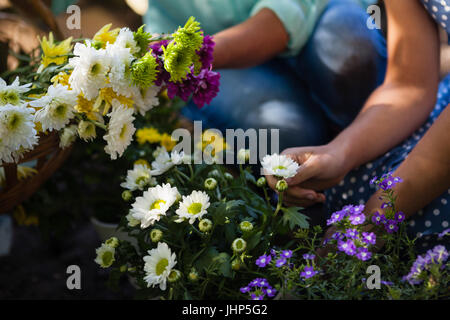 Zugeschnittenes Bild der Enkelin und Großmutter zupfen Blumen im Garten Stockfoto