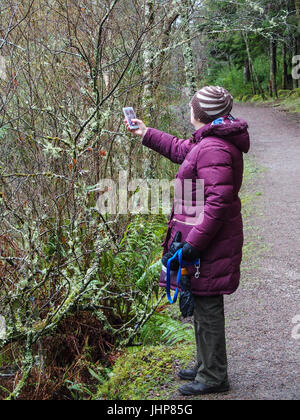 Frau, die mit dem Mobiltelefon fotografiert Stockfoto