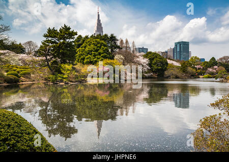 Sakura-Kirsche blüht rund um den See in die Gyōen Nationalgarten Shinjuku in Tokio, Japan, Asien. Stockfoto