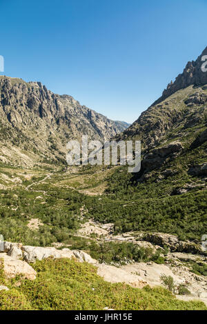 Schroffe Berge beiderseits des Flusses im Urstromtal im Restonica in der Nähe von Corte in zentralen Korsika Stockfoto