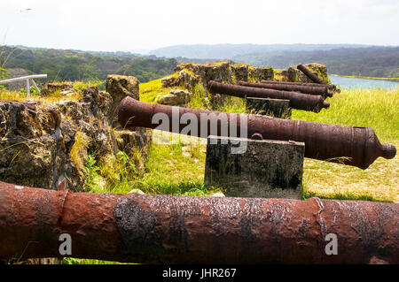 Alte Kanonen im Fort San Lorenzo in der Nähe von Colón in Panama Stockfoto