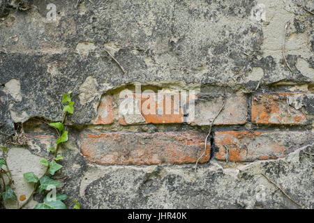 Ziegelsteine hinter peeling Putz, alte Wand closeup Stockfoto