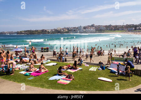 h Bondi Beach an einem heißen Sommertag, Sydney, New South Wales, Australien Stockfoto