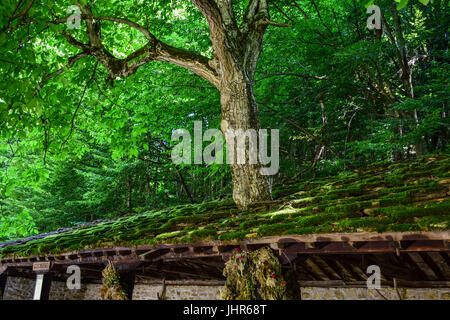 Gabrovo, Etara, Bozhentsi, Trjavna, Dryanovo, Sokolovski Kloster Stockfoto