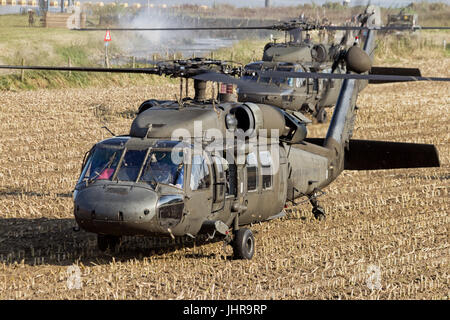 GRAVE, Niederlande - SEP 17, 2014: Zwei amerikanische Armee Blackhawk Hubschrauber Landung in einem Feld. Stockfoto