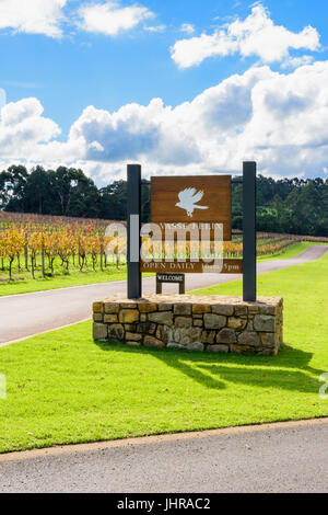 Winter-Reben rund um den Eingang zu Vasse Felix Vineyard in der Margaret River Region von Australiens Südwesten, Cowaramup, Western Australia Stockfoto