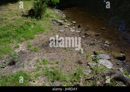 Impressionen aus der Umgebung der Zitadelle Spandau in Berlin am 1. Juli 2015, Deutschland Stockfoto