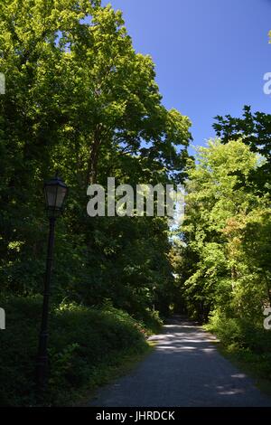 Impressionen aus der Umgebung der Zitadelle Spandau in Berlin am 1. Juli 2015, Deutschland Stockfoto