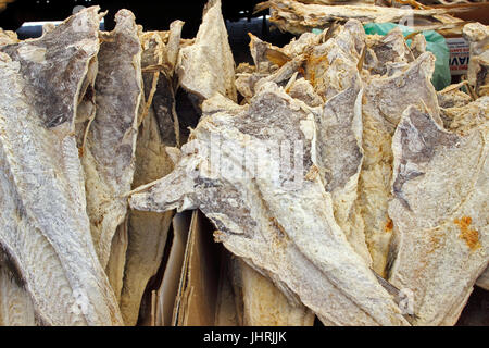 Bacalhau Stockfisch Fisch zum Verkauf auf dem Markt Mittwoch Barca Portugal Stockfoto