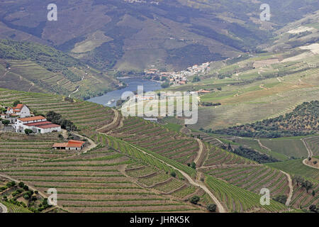 Terrassenförmig angelegten Portwein Weinberge entlang dem Fluss Douro-Portugal Stockfoto