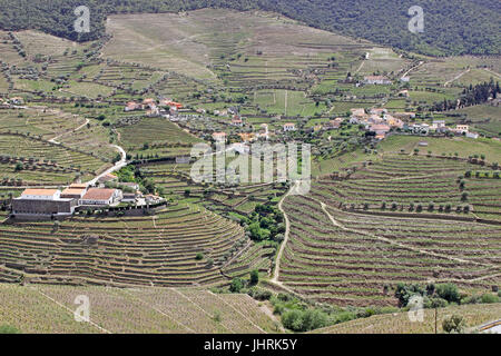 Terrassenförmig angelegten Portwein Weinberge entlang dem Fluss Douro-Portugal Stockfoto