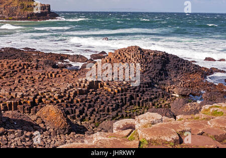 Giants Causeway, Nordirland Stockfoto