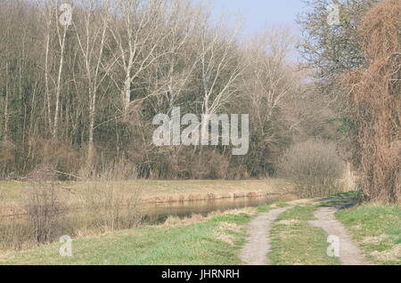 Unbefestigte Straße neben dem Fluss und dem wilden Wald Stockfoto