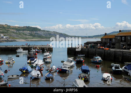 Sportboote vermischen sich mit Fischerboote im West Dorset Stadt Lyme Regis. Die etrance zum Hafen, vorbei an der berühmten Cobb, ist sehr schmal. Stockfoto