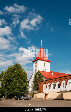 Kamyenyets, Region Brest, Weißrussland. STS Peter und Paul-Kirche In sonnigen Sommertag In Kamenez. Stockfoto