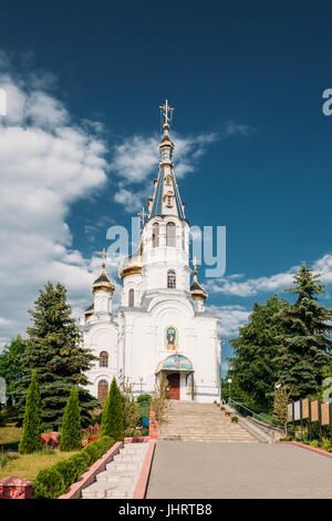 Kamyenyets, Region Brest, Weißrussland. St. Simeon orthodoxe Kirche In sonnigen Sommertag In Kamenez. Stockfoto