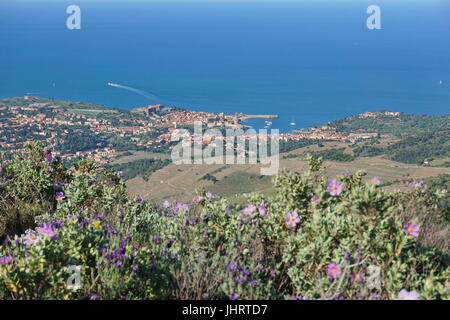 Dorf an der Küste Landschaft Collioure an der Küste des Mittelmeers, gesehen von den Höhen, Frankreich, Roussillon, Pyrenäen Orientales Stockfoto