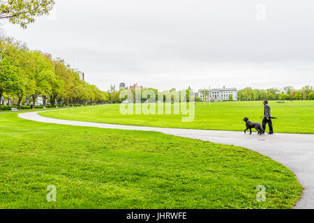 Quebec Stadt, Kanada - 30. Mai 2017: Mann zu Fuß Hund auf Anneau de Rollerblades im Gelände des Sports, Plaines Emmanuel von Grande Allée Morgen Stockfoto