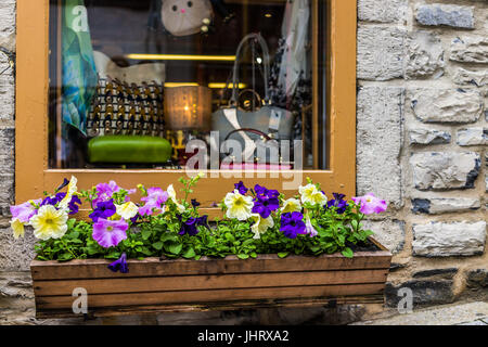 Quebec Stadt, Kanada - 30. Mai 2017: Hängende Petunien Bett Blumendekoration auf untere Altstadt Straße Souvenir Shop Steingebäude Fenster während der summe Stockfoto