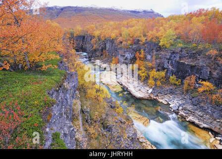 "Abisko Canyon, Abiskoj? KKA, Abisko Nationalpark, im Hintergrund der Berg Njulla, Norrbotten, Lappland, Schweden, Skandinavien, Europa; Septemb Stockfoto