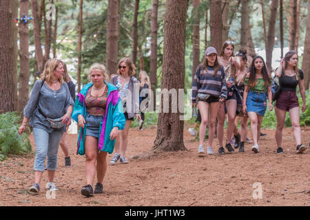 Suffolk, UK. 15. Juli 2017.    Genießen den Wald - 2017 Latitude Festival, Henham Park. Suffolk-15. Juli 2017-Credit: Guy Bell/Alamy Live-Nachrichten Stockfoto