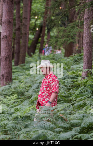 Suffolk, UK. 15. Juli 2017.    Genießen den Wald - 2017 Latitude Festival, Henham Park. Suffolk-15. Juli 2017-Credit: Guy Bell/Alamy Live-Nachrichten Stockfoto