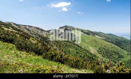 Mala Fatra Gebirge Panorama mit höchsten Velký Krivan Hügel vom Wanderweg zwischen Hromove und Steny Hügeln in der Slowakei im schönen Tag mit b Stockfoto