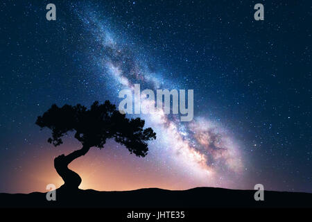 Milky Way mit allein alten krummen Baum auf dem Hügel. Bunte Nachtlandschaft mit hellen Milchstraße, Sternenhimmel und Baum im Sommer. Weltraum Hintergrund Stockfoto