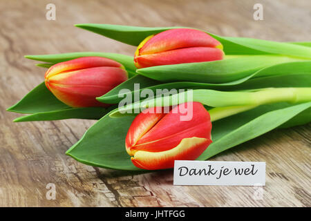Dank Je Wel (Danke in niederländischer Sprache) Karte mit roten Tulpen auf Holzuntergrund Stockfoto