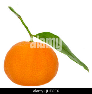 Die Mandarine (Citrus Reticulata), auch bekannt als Mandarin oder Mandarine, isoliert, weißen Hintergrund. Stockfoto